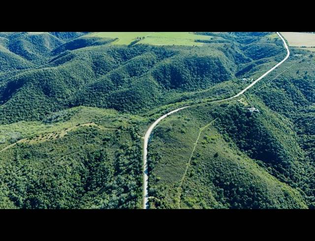 FARM FOR SALE IN WITTEDRIFT AH